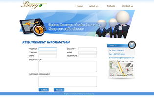 網頁與網站設計 構建企業數字門戶的藝術與科學